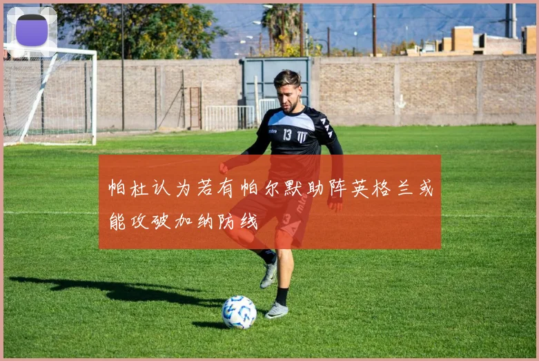 帕杜认为若有帕尔默助阵英格兰或能攻破加纳防线
